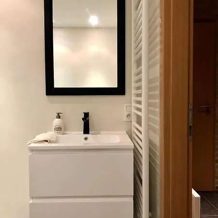 Tatil Evi Nieuwendamme 80 *